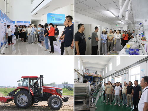 内蒙古农大AI创新教学与科研能力提升培训班在涿州教学实验场圆满收官