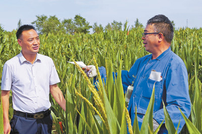 科技赋能特色农业 绘就乡村振兴新画卷