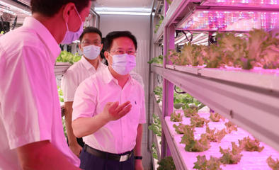 郑栅洁调研省农科院 强化市场与效率意识，驱动农业科技创新新篇章