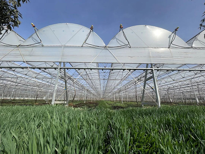 智慧果园“变形记” 农业科学研究的未来试验场