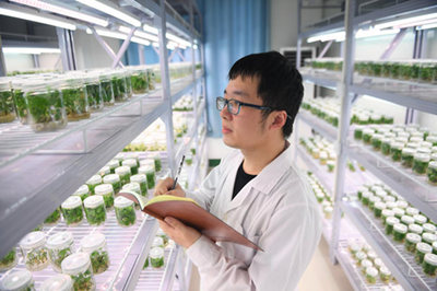 镜头丨劳动让生活更美好 农业科学研究和试验发展