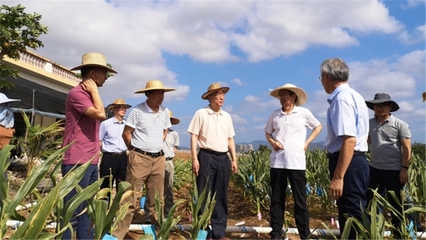 我校国家农业科技战略研究院赴海南开展热带农业科技创新调研，助力农业科研发展新篇章