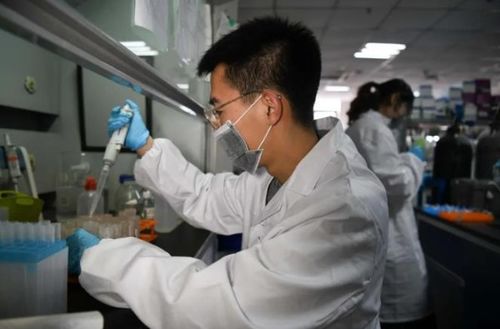 学术裁缝 农业科学研究中的论文灌水套路与危害