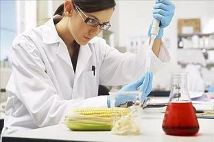 化学工程与工艺与农业科学研究的融合与发展